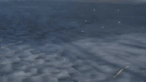 Against the background of blue ice, fluff flies, sunny spring day Stock Footage 124750894