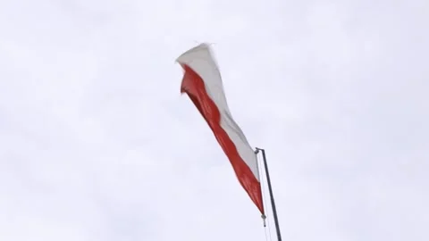 Against the background of a gray sky, the flag of Poland develops in the wind Stock Footage 159470371