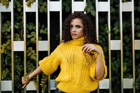 Against the background of the openwork wall of the park with green leaves there Stock Photos
