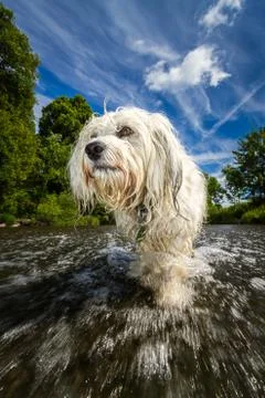 Against the flow Stock Photos