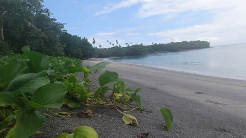 Aganoa Black Sand Beach in Samoa Stock Footage 131579923