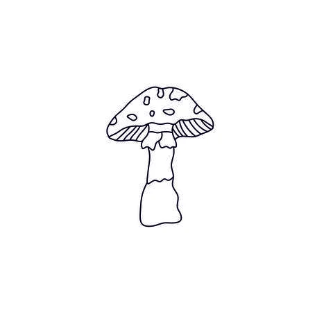 Agaric Stock Illustration