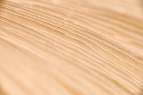 Agaric mushroom gills under cap macro close up photo, depth of field photogra Stock Photos