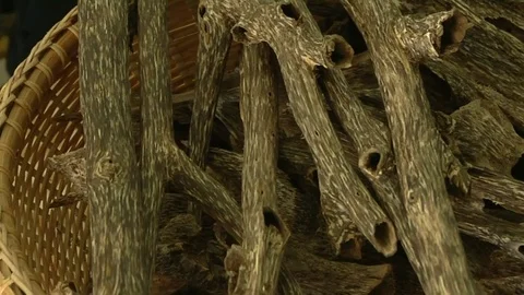 Agarwood 1 Stock Footage 79251768