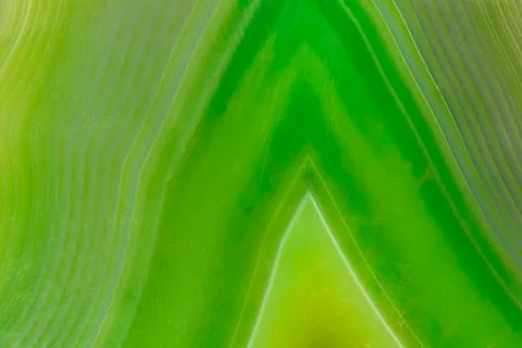 Agate background Фото