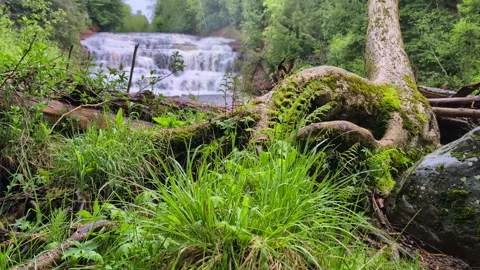 Agate Falls River Landscape Stock Footage 311147555