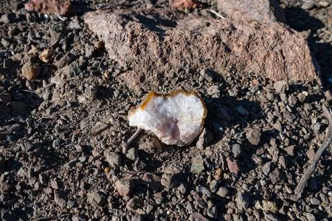 Agate scattered in the field. Stock Photos