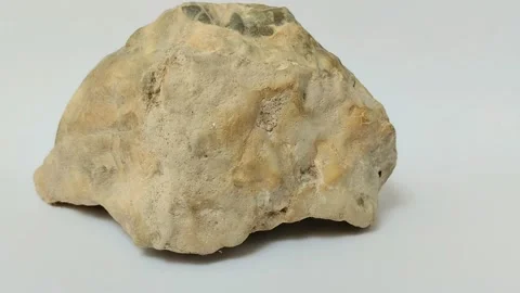 Agate on a white background Stock Footage 315198482