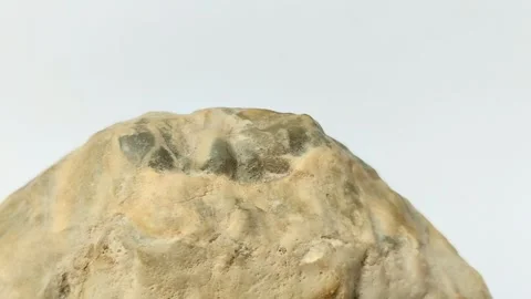 Agate on a white background Stock Footage 315198510