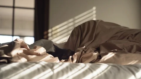 Agatha Wakeup 1 100mbs Stock Footage 126744570