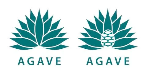 Agave Stock Illustration