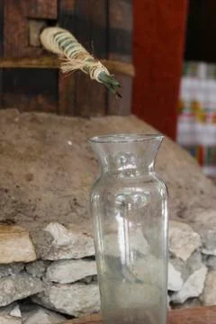 Agave Leaf creating Tequila Stock Photos