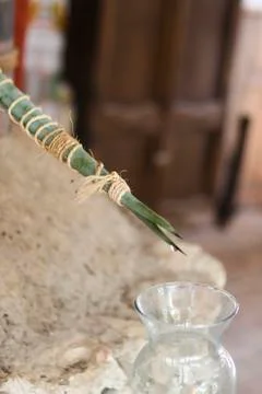 Agave Leaf for making Tequila Stock Photos