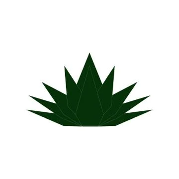Agave logo, illustration, vector Illustration