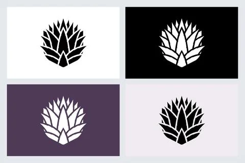 Agave Plant Icon Logo Vector Design Stock Illustration