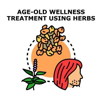 Age old wellness treatment utilizing natural medicinal herbs Stock Illustration