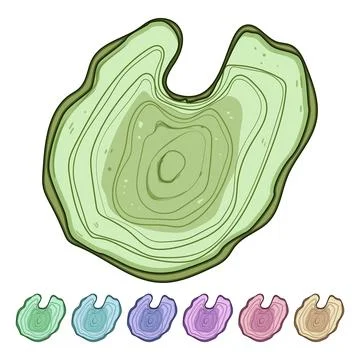 Age tree rings cartoon vector graphic Stock Illustration