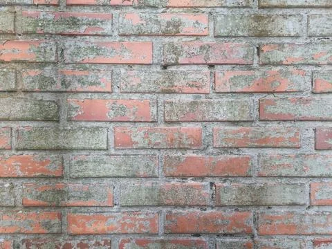 Aged brick wall with moss Foto stock
