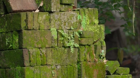 Aged bricks 10bit 4k 60fps Stock Footage 268824901