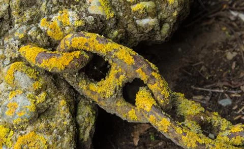 Aged chain links Stock Photos