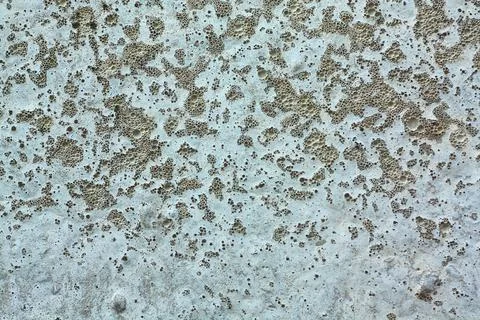 Aged concrete texture with rough surface and small cavities Stock Photos