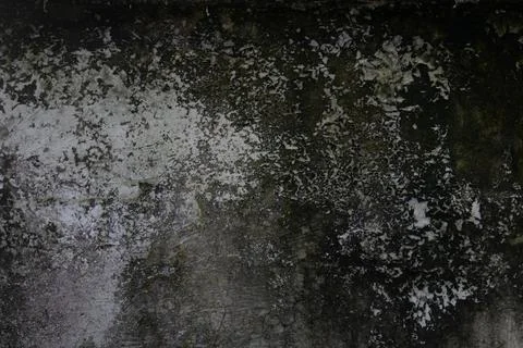 Aged concrete wall with dark mold and peeling paint textures Stock Photos