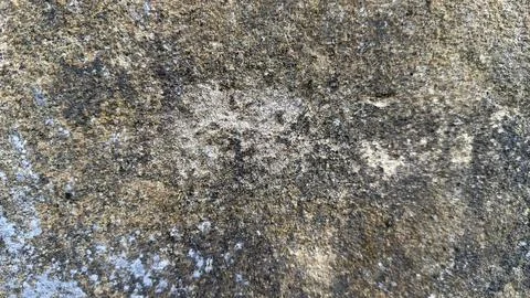 Aged concrete wall shows rough textured surface with dark gray patches Stock Photos