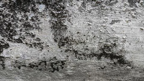 Aged concrete wall texture featuring cracked details and dirty stains. Idea.. Stock Photos