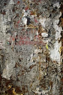 Aged grounge wall texture as a background Stock Photos