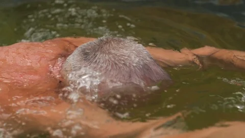 Aged man swims in the pool Stock Footage 78764186