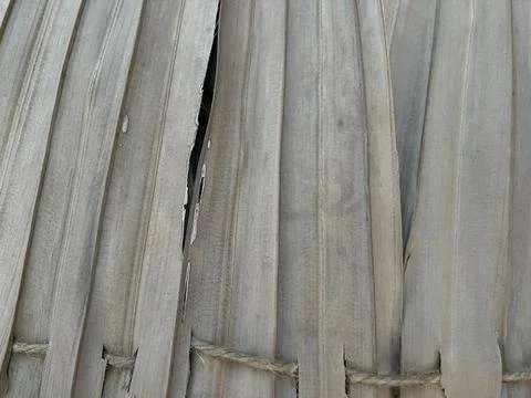 Aged Palm Leaves Pattern Weathered Natural Texture Stock Photos