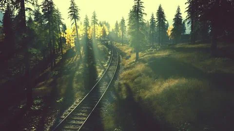 Aged railroad tracks cutting through a forest of fir trees at twilight Stock Illustration