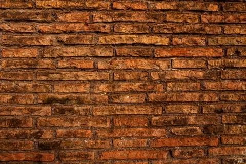 Aged red brick wall texture with sunlight Stock Photos