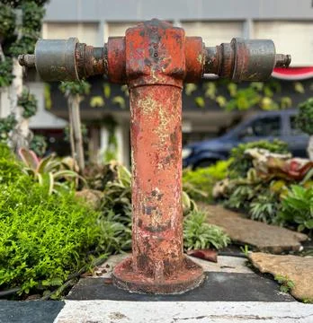Aged Red Fire Hydrant with Rust Texture in Outdoor Garden Setting Foto stock