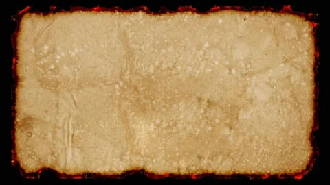 Aged sheet of paper burns 動画素材 160975694