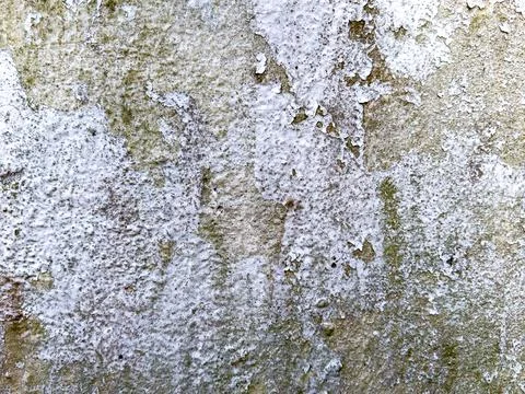 Aged Wall Texture with Peeling Paint and Weathered Surface Stock Photos