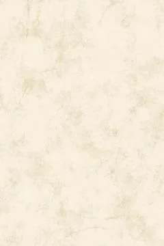 Aged off white parchment paper texture with subtle cracks and marble veins for Stock Illustration