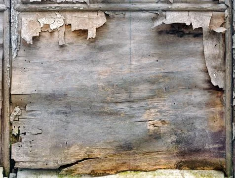 Aged wood panel Stock Photos