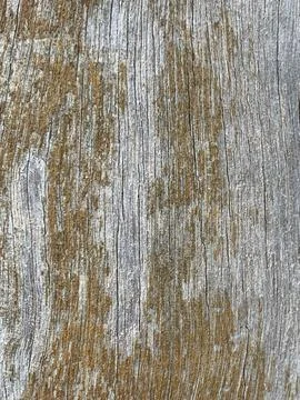 Aged wood texture Stock Photos
