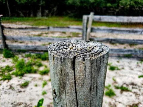 Aged wooden fence post Stock Photos