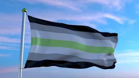 Agender pride flag Illustrazione stock