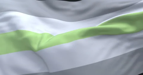 Agender pride flag waving. Loop Stock Footage 219785174