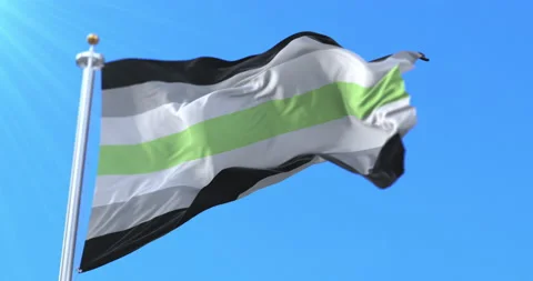 Agender pride flag waving at wind. Loop Stock Footage 219785105