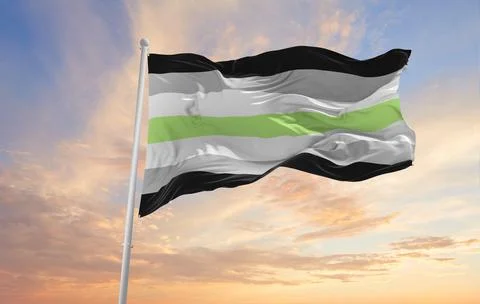 Agender pride flag waving in the wind at cloudy sky. Freedom and love concept Stock Illustration