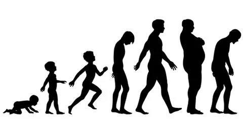 Ages of man Stock Illustration