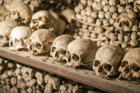Agglomeration of skulls and bones Stock Photos
