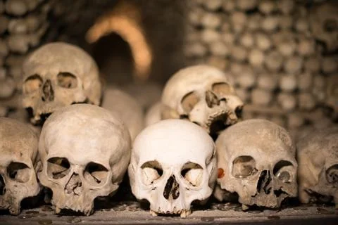 Agglomeration of skulls and bones Stock Photos