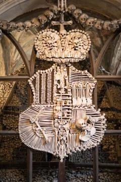 Agglomeration of skulls and bones Stock Photos