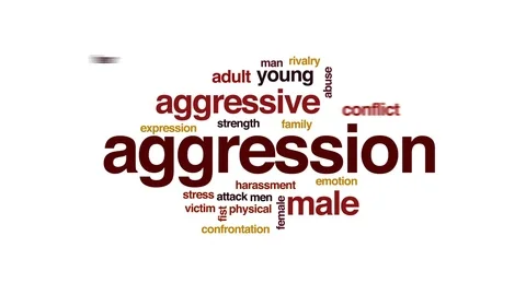 aggressive word