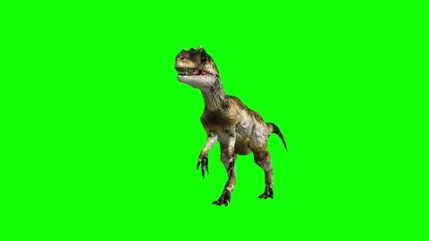 Green Screen Allosaurus Dinosaur Stock Video Footage 